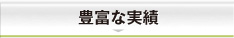 豊富な実績